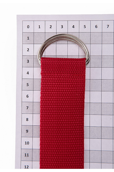 РЕМЕНЬ СИНТУРА (РЭД) РЕМЕНЬ СИНТУРА (РЭД)